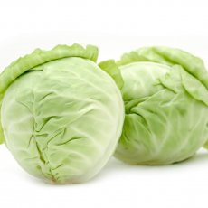 Cabbage