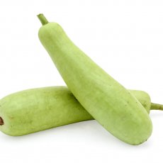 Bottle Gourd