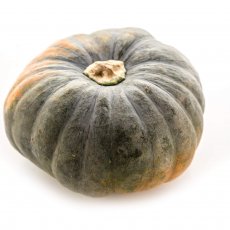 Sweet Pumpkin