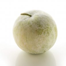 Pumpkin White/Ash Gourd