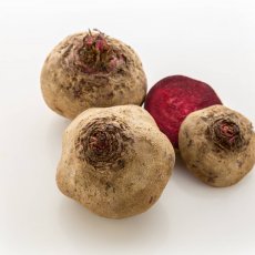 Beet Root