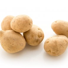 Potato