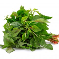 Dhantu, Harive Soppu - Amaranth Leaves - Thotakoora - Thandukkeerai