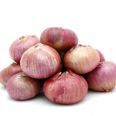 Onion