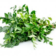Curry Leaves
